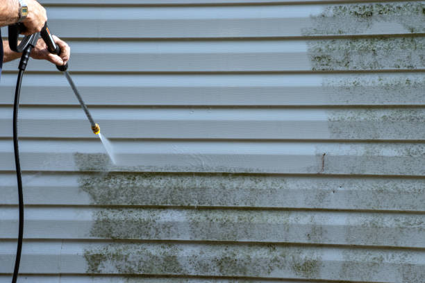 Reliable Tierra Verde, FL Junk Removal Solutions