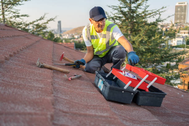 Best Attic Cleanout  in Tierra Verde, FL
